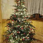 Villa Baciary W Gorach Klikuszowa