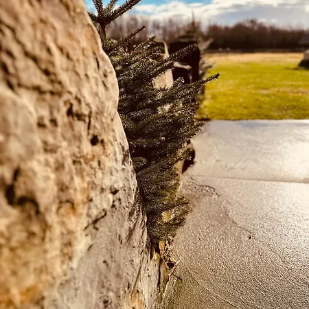 Baciary W Gorach Villa