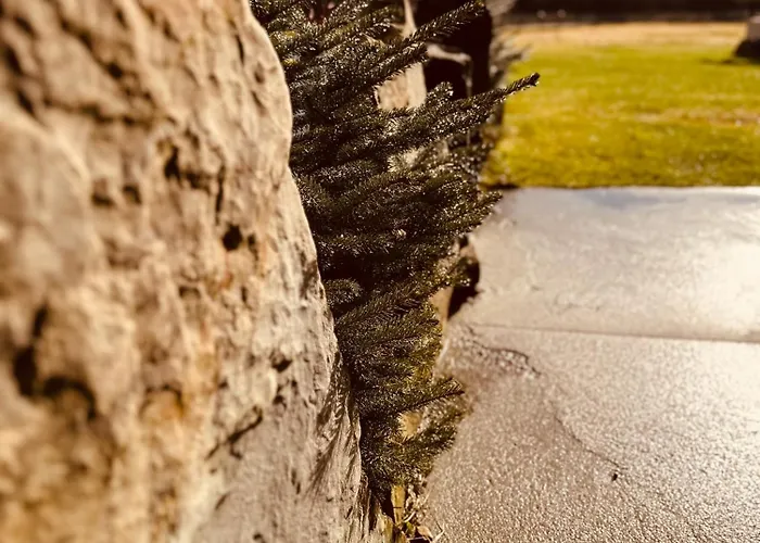 Baciary W Gorach Villa